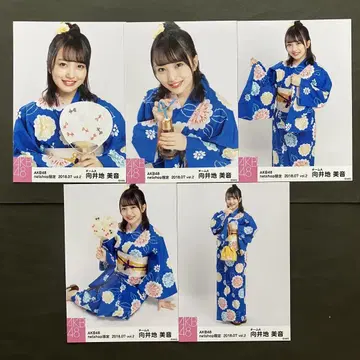 무카이 미네 AKB48 브로마이드 5장 컴프 14
