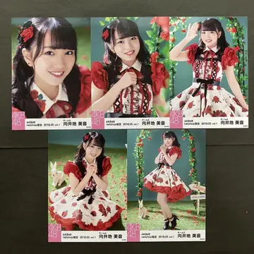 무카이 미네 AKB48 브로마이드 5장 컴프 16