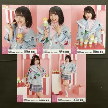 무카이 미네 AKB48 브로마이드 5장 컴프 18