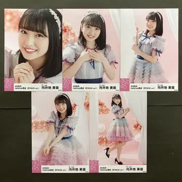 무카이 미네 AKB48 브로마이드 5장 컴프 20