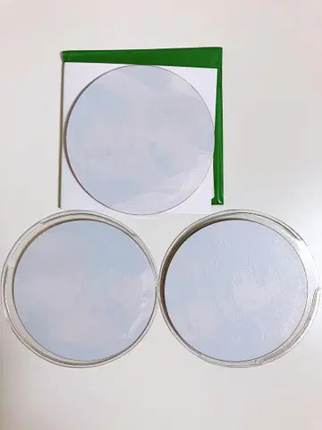 Luria 심야의 나를 봐 콜라보 카페
