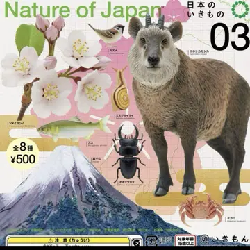 Nature of Japan 일본의 생물 전 8종 컴플리트