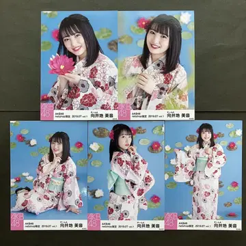 무카이 미네 AKB48 브로마이드 5장 컴프 27