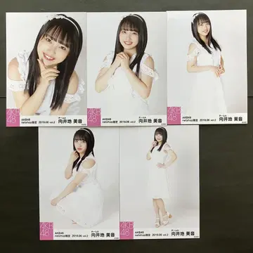 무카이 미네 AKB48 브로마이드 5장 컴프 29