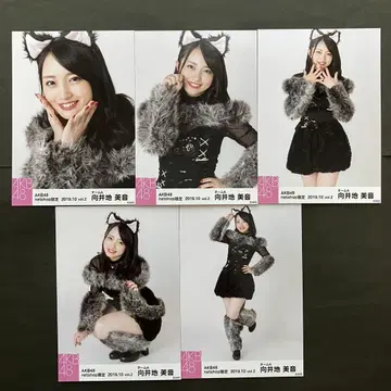 무카이 미네 AKB48 브로마이드 5장 컴프 31
