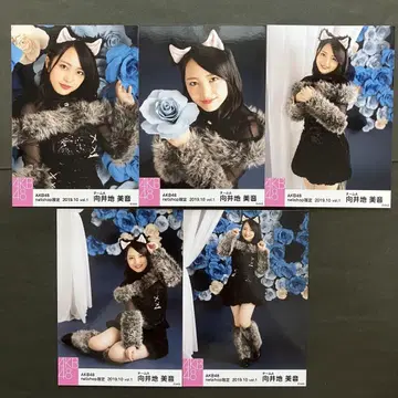 무카이 미네 AKB48 브로마이드 5장 컴프 32