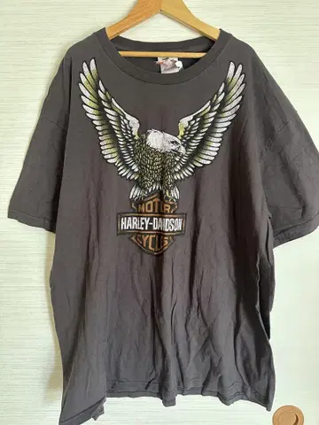 HARLEY-DAVIDSON 독수리 그래픽 티셔츠 2XL