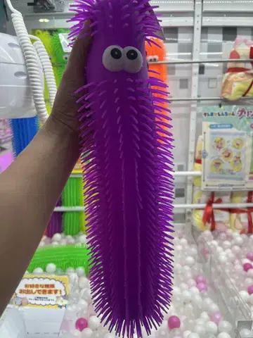 보라색 가시 완구