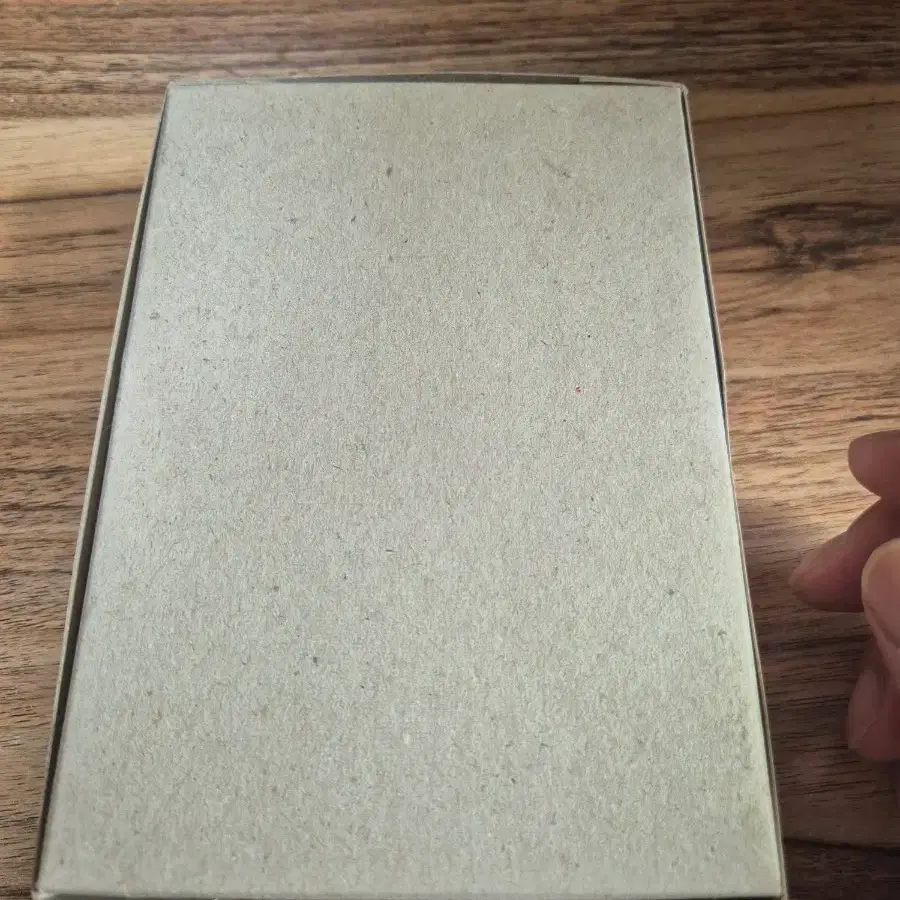 포켓몬 프라모델