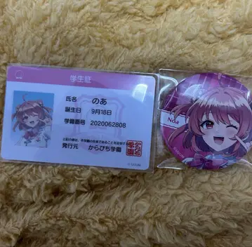 카라피치 노아 피치파라 캔바 학생증 카라피치 파라다이스