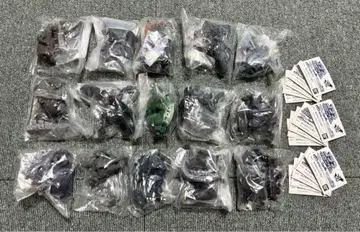 고질라 hg 크로니클 전 종류 컴플리트 미개봉 새상품 가격 인하 불가