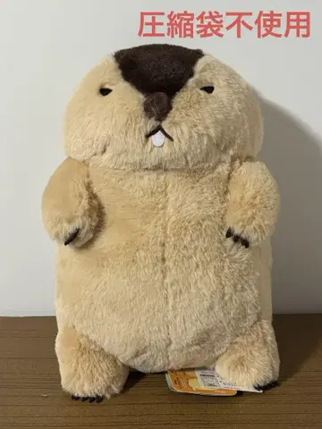 마모트의 모토토 봉제 인형 JB 하마모토