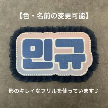 네임 보드 SEVENTEEN 세부치 캐럿 민규 로셀 네무보