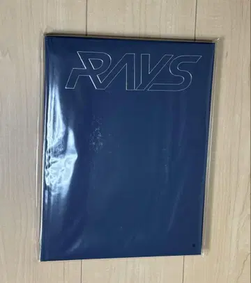 SnowMan Dome Tour 2024 RAYS 팜플렛