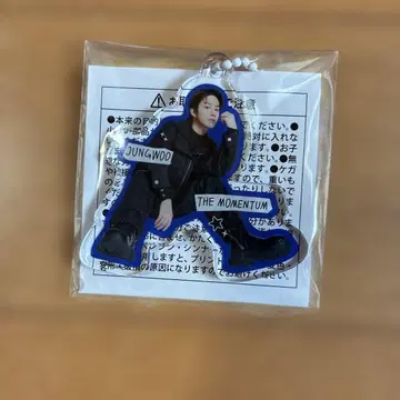 NCT127 랜덤 토이 JUNGWOO 아크릴 키링