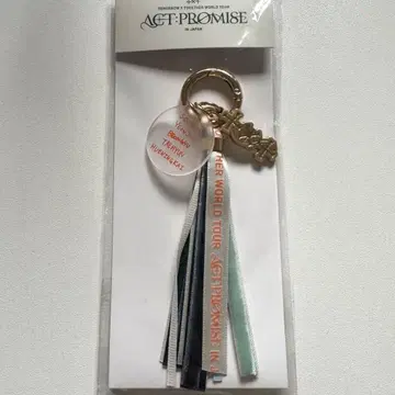 TXT [ACT : PROMISE JAPAN] 로고 키링
