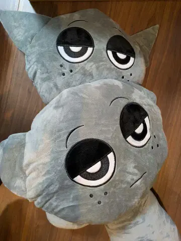 스플랭키 BIG 봉제 인형 2개 세트