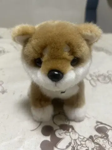 시바견 봉제 인형 일본 반다나 포함