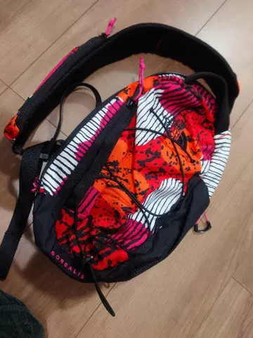 THE NORTH FACE BOREALIS 바디 백