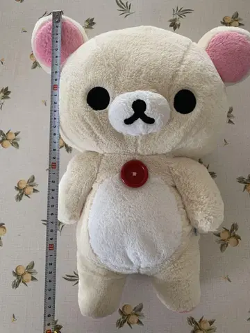 산엑스 코리락쿠마 봉제 인형