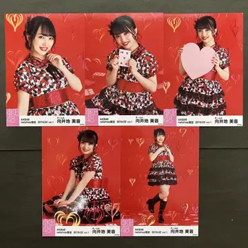 무카이 미네 AKB48 브로마이드 5장 컴프 40