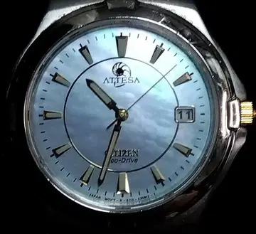 시티즌 아테사 에코 드라이브 E110-K17951