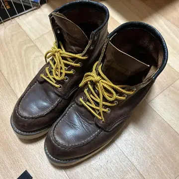 레드윙 8131 아이리쉬 세터 27cm 깨끗한