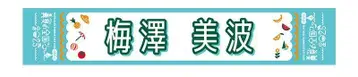 우메자와 미나미 한여름 전국 투어 2025 머플러 타월