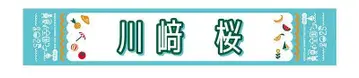 카와사키 사쿠라 한여름의 전국 투어 2025 머플러 타월