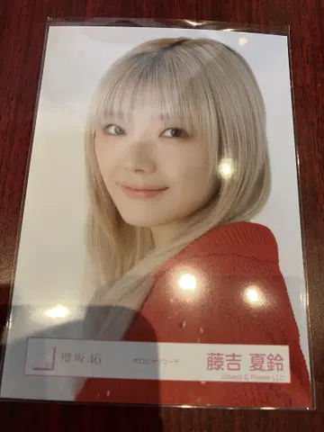 사쿠라자카46 브로마이드 요리 카린 피케 셔츠