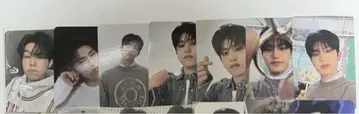 보물 존우