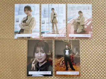 사쿠라자카46 오다쿠라 레이나 미나토구 파슬리 정리