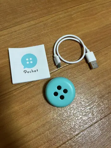 Pechat 신모델 민트