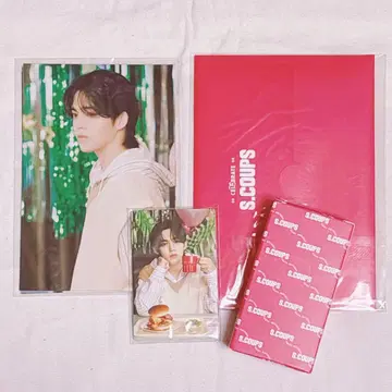 세븐틴 에스크푸스 바파케