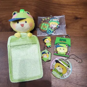 컬러풀 피치 시부아 묶음 판매