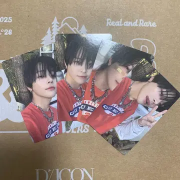 &team D'PARTMENT DICON 니콜라스 트레이딩 카드