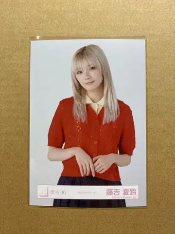 후지요시 카린 브로마이드 피케 셔츠