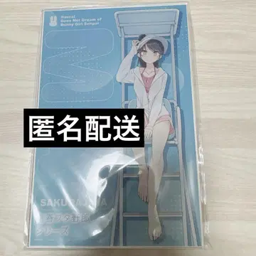 청춘 돼지들 유료 혜택 아크릴 플레이트 비치 퀸의 꿈을 꾸지 않는다
