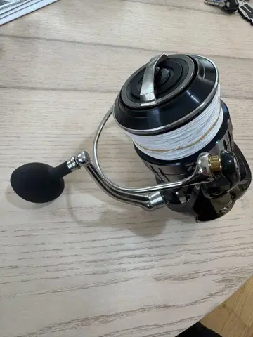 다이와 DAIWA 21 셀테이트 SW 18000-H
