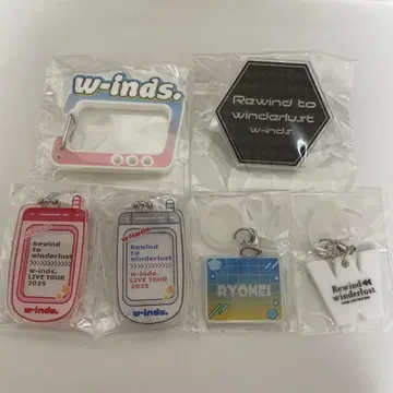 w-inds. 가챠가챠 참 아크릴 배지
