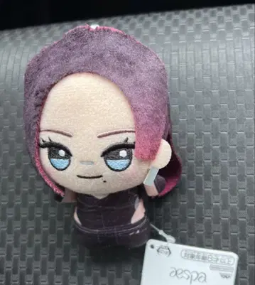 aespa 에스파 SD 인형 카리나 봉제 인형