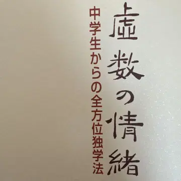 허수의 정서