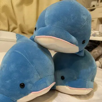 씨파라 한정 파란 돌고래 봉제 인형 3개 세트