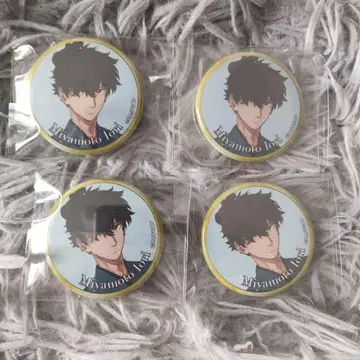 FGO 레이키 캔뱃지 미야모토 이오리