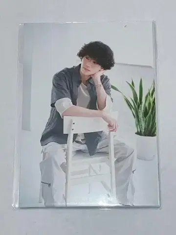 구니시마 나오키 fc 브로마이드