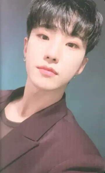 세븐틴 호시 카라트 랜드 2021 메모리 북+