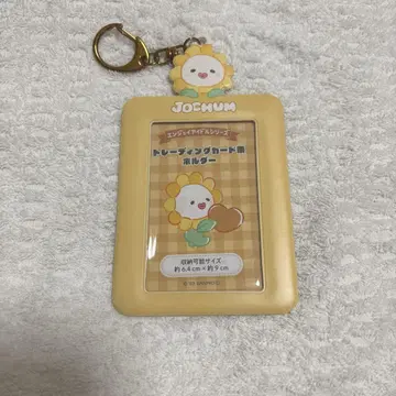jochum Bira 트레이딩 카드 케이스 비라 사토 케이코