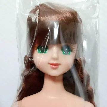 마린 오타즈미 인형 제니 프렌드 리카짱 캐슬 그린 아이