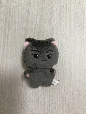ENHYPEN 제이 봉제 인형 마스터 새상품 10cm