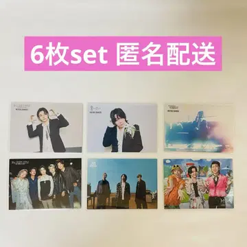 미스 그린 애플 대모리 3장 & 단체 3장 세트